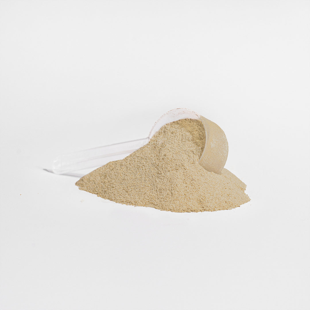 FitsLift GreenPower Protein (Vanilla)
