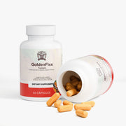 FitsLift GoldenFlex Turmeric (Advanced Joint & Mobility Support Formula)